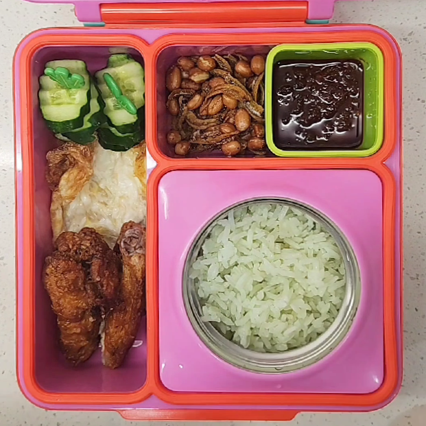 Omie OmieBox Insulated Bento Lunch … curated on LTK