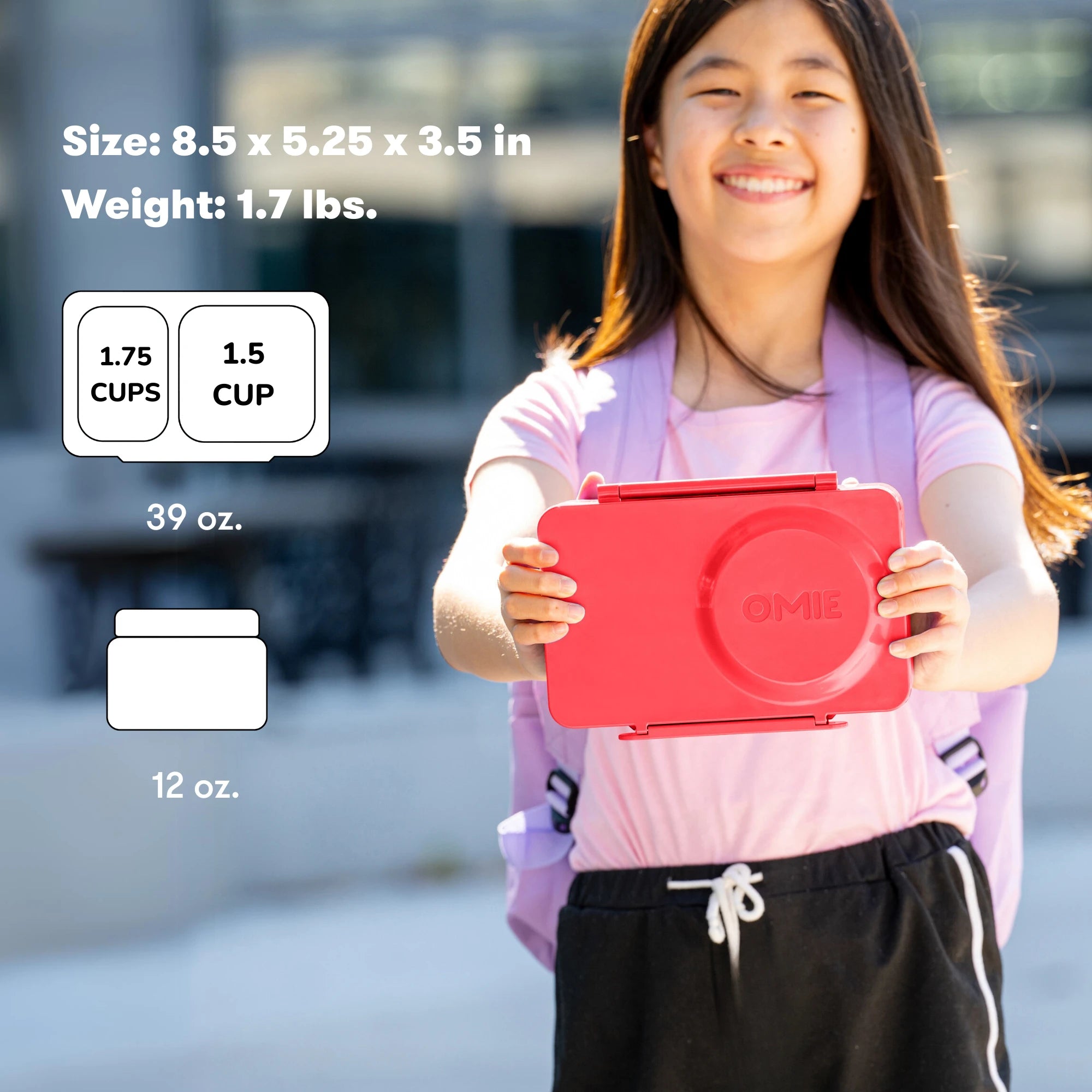 OmieBox UP Hot & Cold Bento Lunch Box | OmieLife – OmieLife